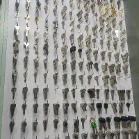 کلید سازی شبانه روزی