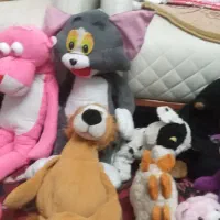 تعدادی‌عروسک‌های‌نو‌ودرحد‌نو|اسباب‌‌بازی|سهند, |دیوار