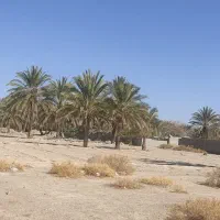 فروش زمین