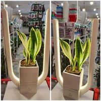 گلدان نور تاب چراغ رشد گیاه بنسای سانسوریا فیکوس