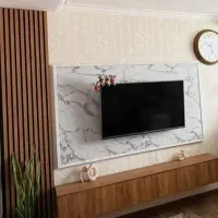 تلویزیون ایکس ویژن ۴۹ اینج
