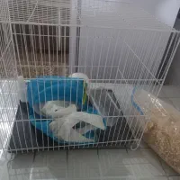قفس پرنده