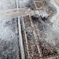 قالیشویی پاتریس