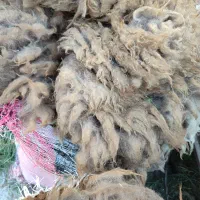 پشم گوسفند