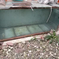 آکواریوم بزرگ با پایه|ماهی|رضوانشهر, |دیوار