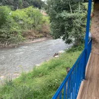 کلبه دربستی با ویو جنگل و رودخانه|اجارهٔ کوتاهمدت ویلا و باغ|چالوس, |دیوار