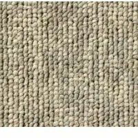 نمایندگی موکت پالاز ظریف مصور|موکت|بندرعباس, |دیوار