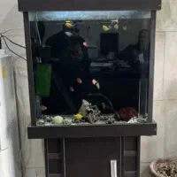 آکواریوم شیشه ای درحد