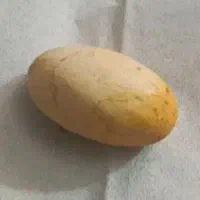 مهره اصلی
