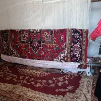 تعدادی بافنده فرش در منزل خودتان نیازمندیم