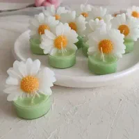 شمع یلدایی با قیمت مناسب|صنایع دستی و سایر لوازم تزئینی|همدان, |دیوار