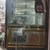 یخچال ویترینی استاده|فروشگاه و مغازه|چاپشلو, |دیوار