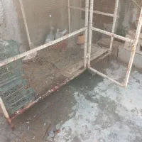 قفس آهنی بزرگ