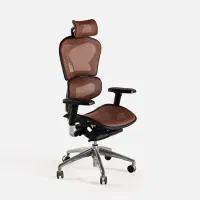 دو عدد صندلی چرخ دار