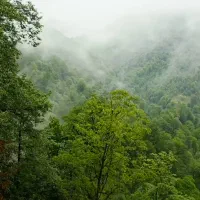 تور یه روزه ی خانومانه