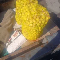 آبلیمو تازه و باکیفیت وابغوره خوش،رنگ و خوش طعم