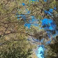 پرستار پاره وقت