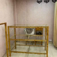 ویترین و مانکن وپرده با میله پروو ورگال