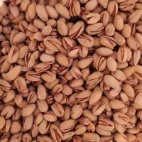 پسته|خوردنی و آشامیدنی|مه ولات, |دیوار