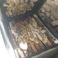 عسل آویشن،بهارنارنج،یونجه