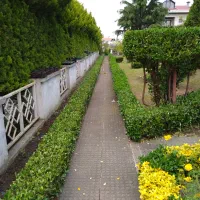 صفر تا صد باغبانی حرفه ای|خدمات باغبانی و درختکاری|بندر انزلی, دهکده ساحلی|دیوار