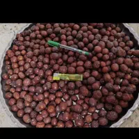 عناب بیرجند امسالی