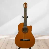 گیتار جاسمین