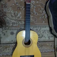 گیتار کلاسیک پویا G2