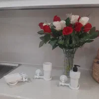 جامایع صابونی