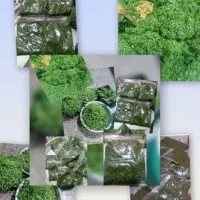 سبزی خورشتی تازه
