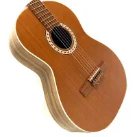 گیتار آکوستیک و کلاسیک یاماها پارسی همه مدل