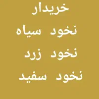 لوبیا و انواع نخود