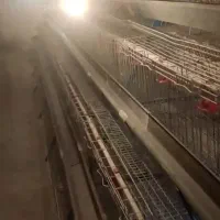 قفس مرغ تخم گذار|لوازم جانبی حیوانات|ابریشم, |دیوار