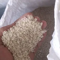 فجر سوزنی شمال|خوردنی و آشامیدنی|گرگان, |دیوار