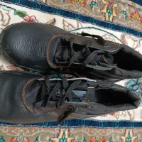 کفش پوتین|کیف، کفش، کمربند|کاشان, قطب راوندی|دیوار