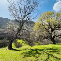 ۲۰ هکتار زمین کشاورزی