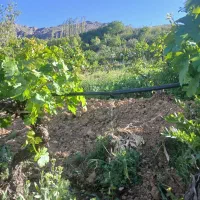 شخم زنی هرس کردن کوددهی آبیاری زمین