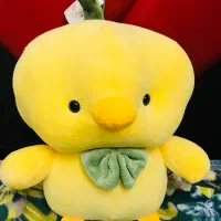 عروسک پولیشی جوجه