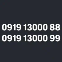 09191300088.09191300099 رند بیلبوردی، دائمی