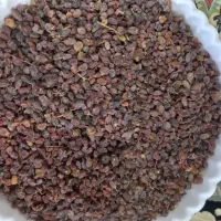 کشمش آفتابی