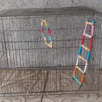 قفس همراه تاب و نردبان نو