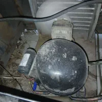 یخچال و فریزر|یخچال و فریزر|نرماشیر, |دیوار