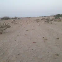 آبشورک ، زمین سند دار ۲۰۰متری ، معاوضه با خودرو|فروش زمین و ملک کلنگی|بندرعباس, |دیوار