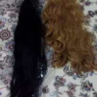 مو وکلاه گیس