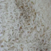 سرلاشه برنج هاشمی|خوردنی و آشامیدنی|قم, باسکول|دیوار