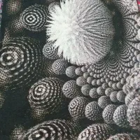 گلیم فرش قاصدک