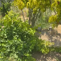 باغ و باغچه ۳۵۵ متری/سندتکبرگ/مجوزدار|فروش زمین و ملک کلنگی|شهریار, |دیوار