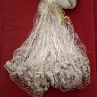 تورماهیگیری یا سالیک