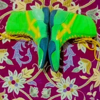 کفش کشتی|کیف، کفش، کمربند|مینودشت, |دیوار