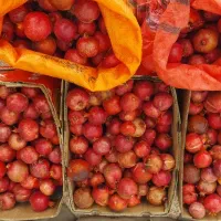 فروش انار ملس درجزین